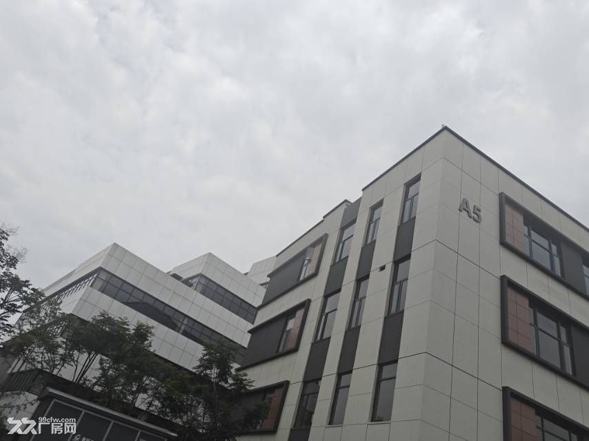 东湖高新区生物医药主题园区 独栋/分层厂房 带污水处理 - 3