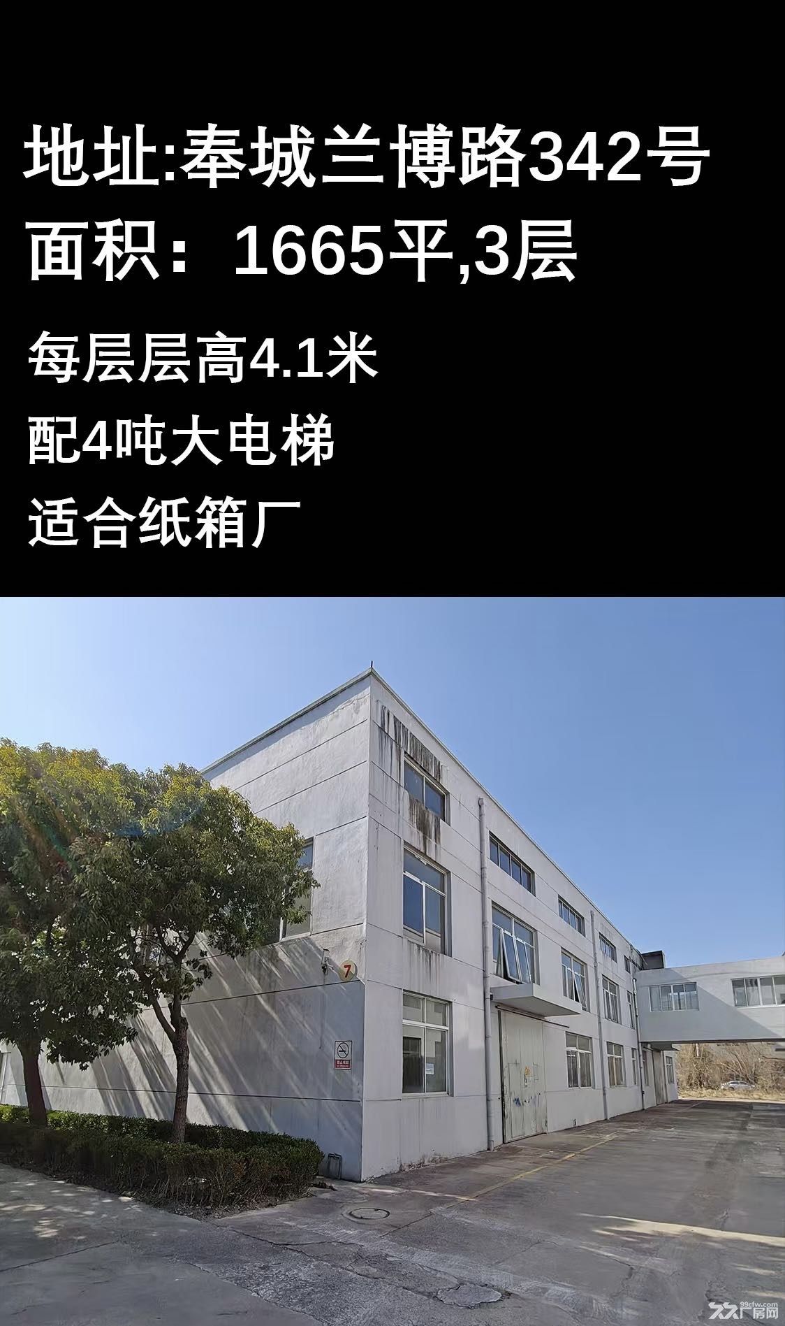 标准厂房,房东直租,价优! - 6