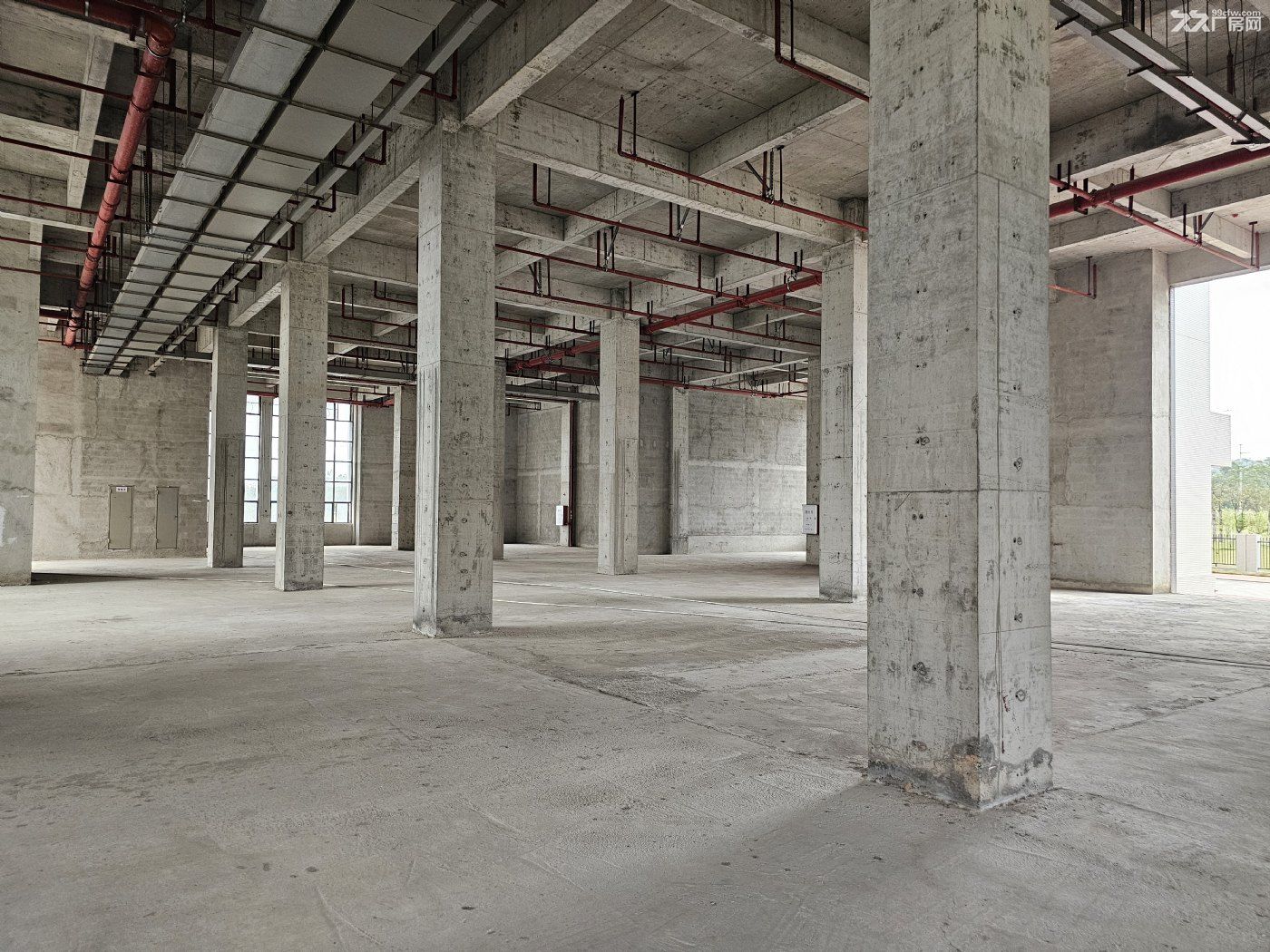 黄埔区云铺街道高台仓出租，M2工业用地，有红本，可环评！ - 3