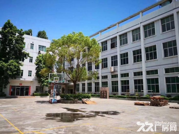 坪山碧岭水官高速口新出一楼厂房1300平，高6米，200平起租，空地大 - 2