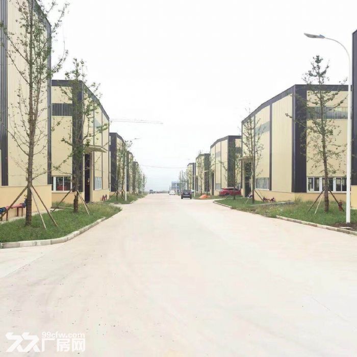 双福标准单层厂房出售 - 4