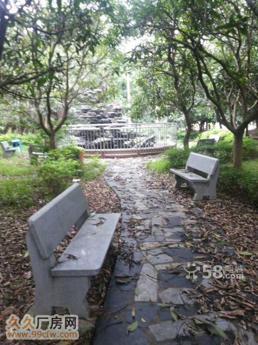 深汕路边20500平米红本厂房诚售 - 3