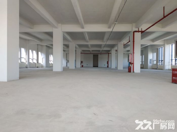 生物医药基地,可立项,可环评,专项厂房双电路供电 - 2