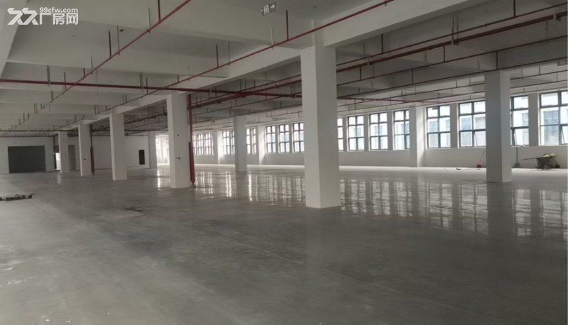 黄埔南洋科技园全新厂房出租 - 5
