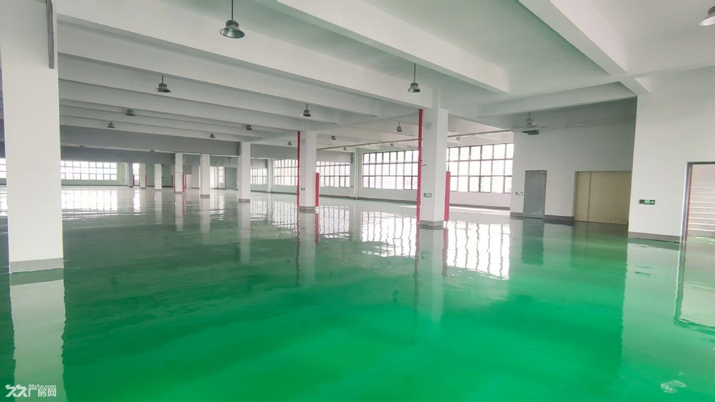 我是房东一福利路8号厂房400一15000m²可以分租 - 4