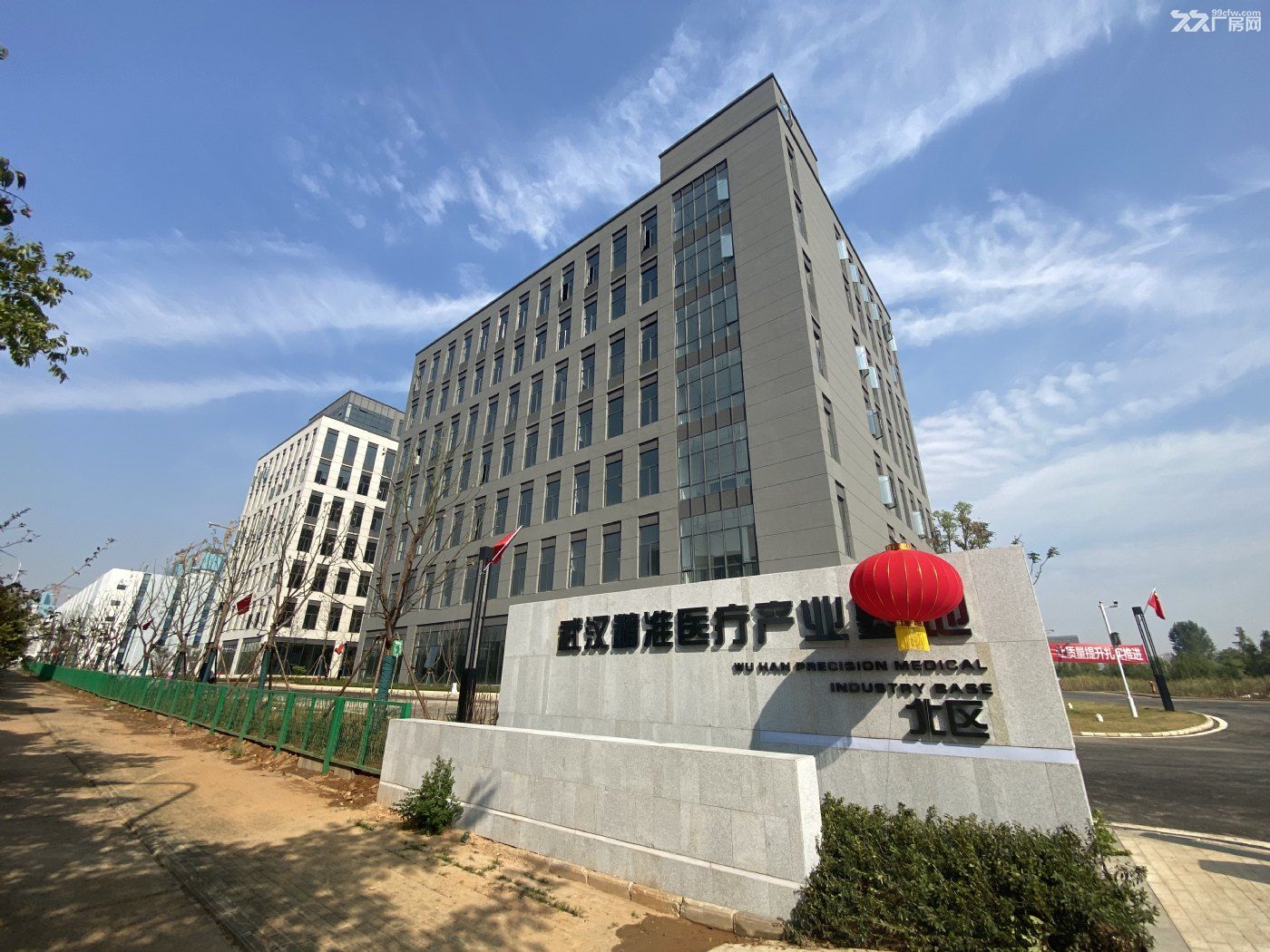 生物医药加速器4期园区出租,光谷七路地铁口,有排污可环评,适合建立各种实验室 - 6