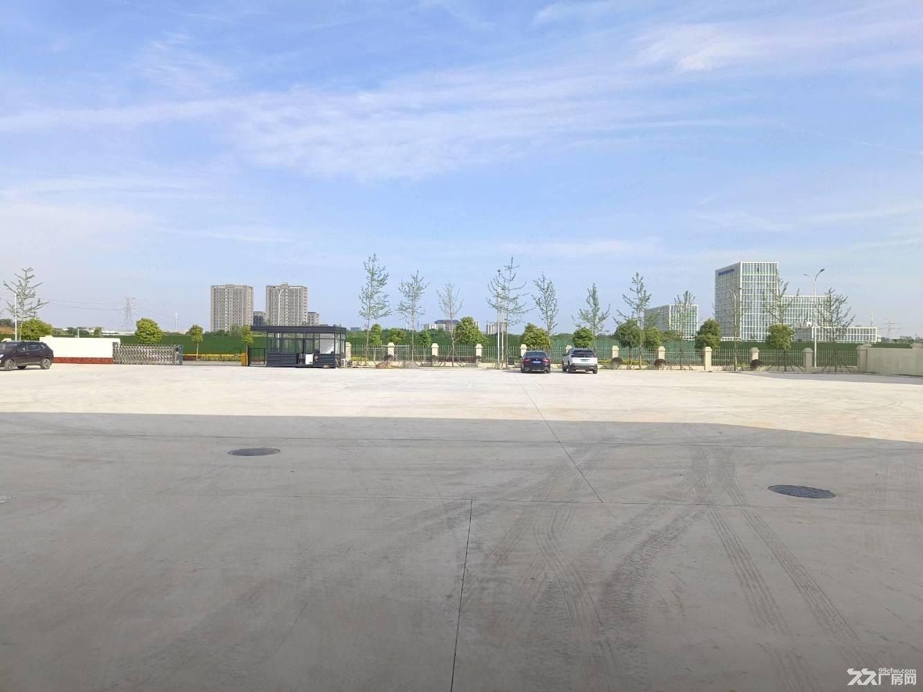 东湖高新新建5000平 10吨行吊 超大出场配套齐全可分租 - 8