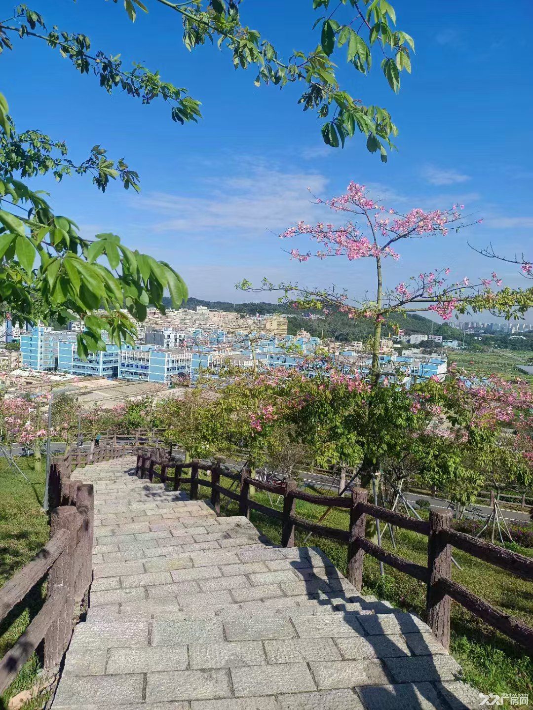 恒利工业园 工业厂房出租 - 3