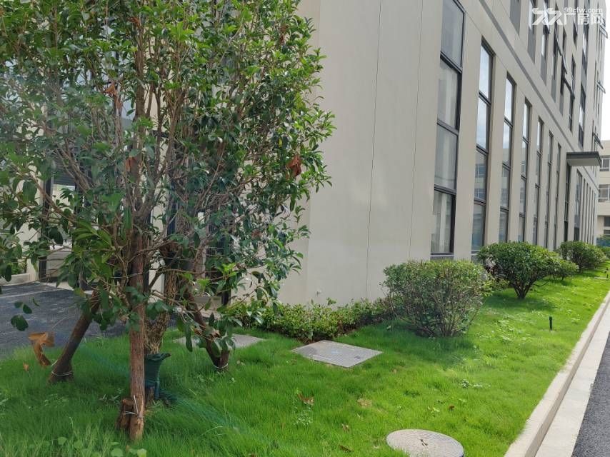 南京江宁2000/4000平独栋高标准厂房出售 - 2
