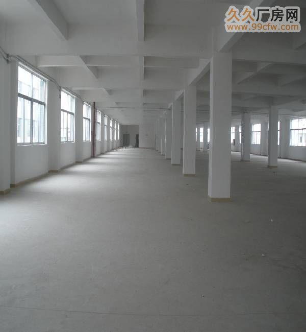 龙岗中心城8500平米厂房低价出售 - 2