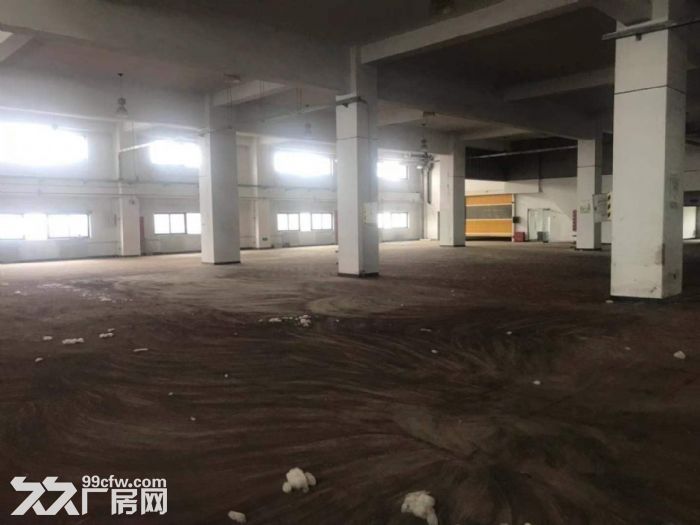 南五环高度7米面积6000可分租价格便宜有坡道直接到二楼 - 8