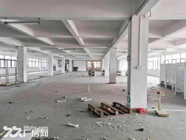 番禺化龙工业区独栋厂房出租6500方,可分租,原房东,形象好 - 3
