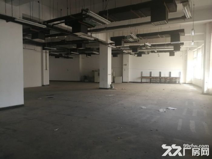 一层无地下 有物流门 可立项环评 仓储 轻加工 组装 - 2