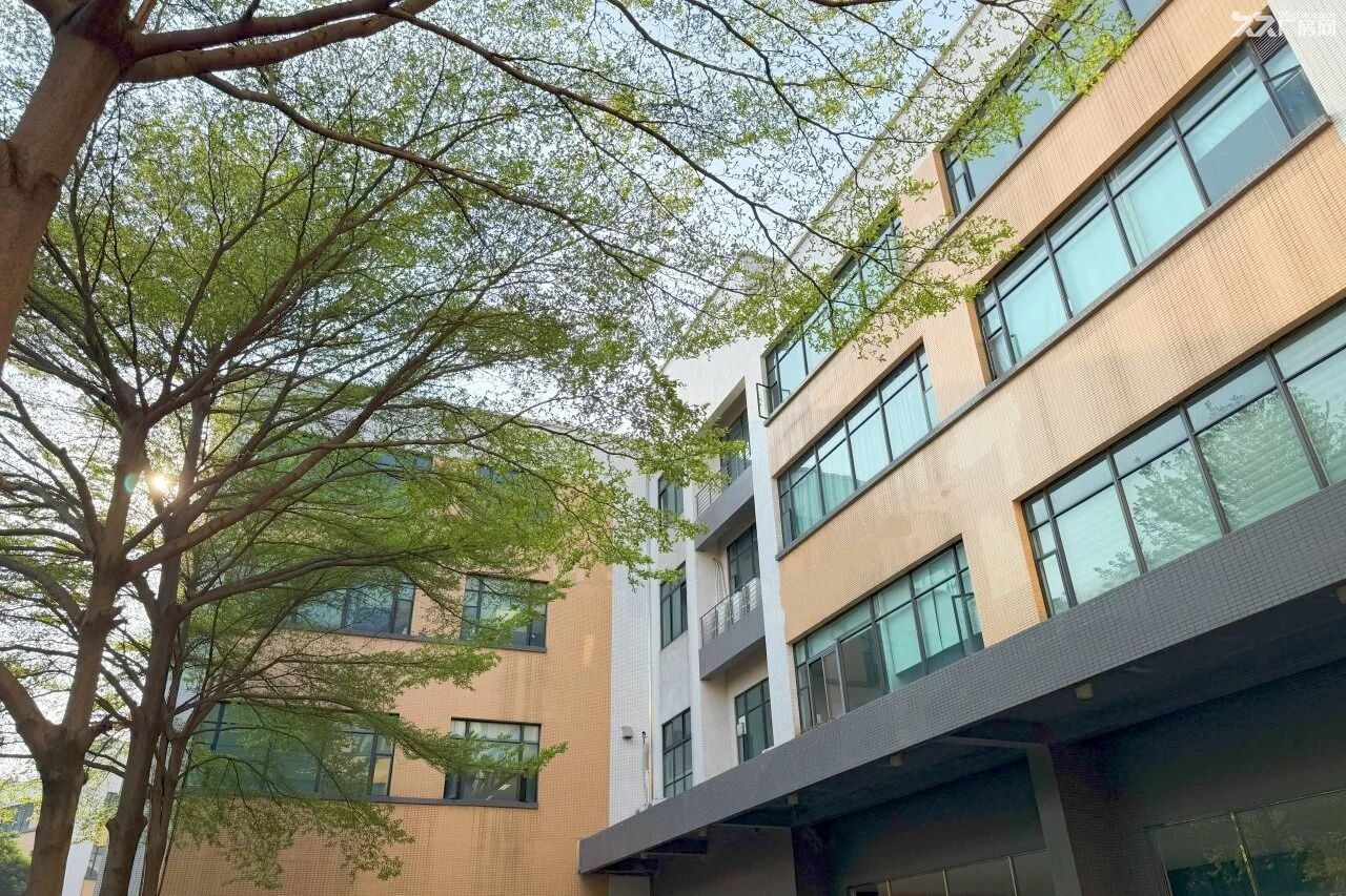 顺德五沙中心地段首层近1000㎡标准厂房招租 - 6