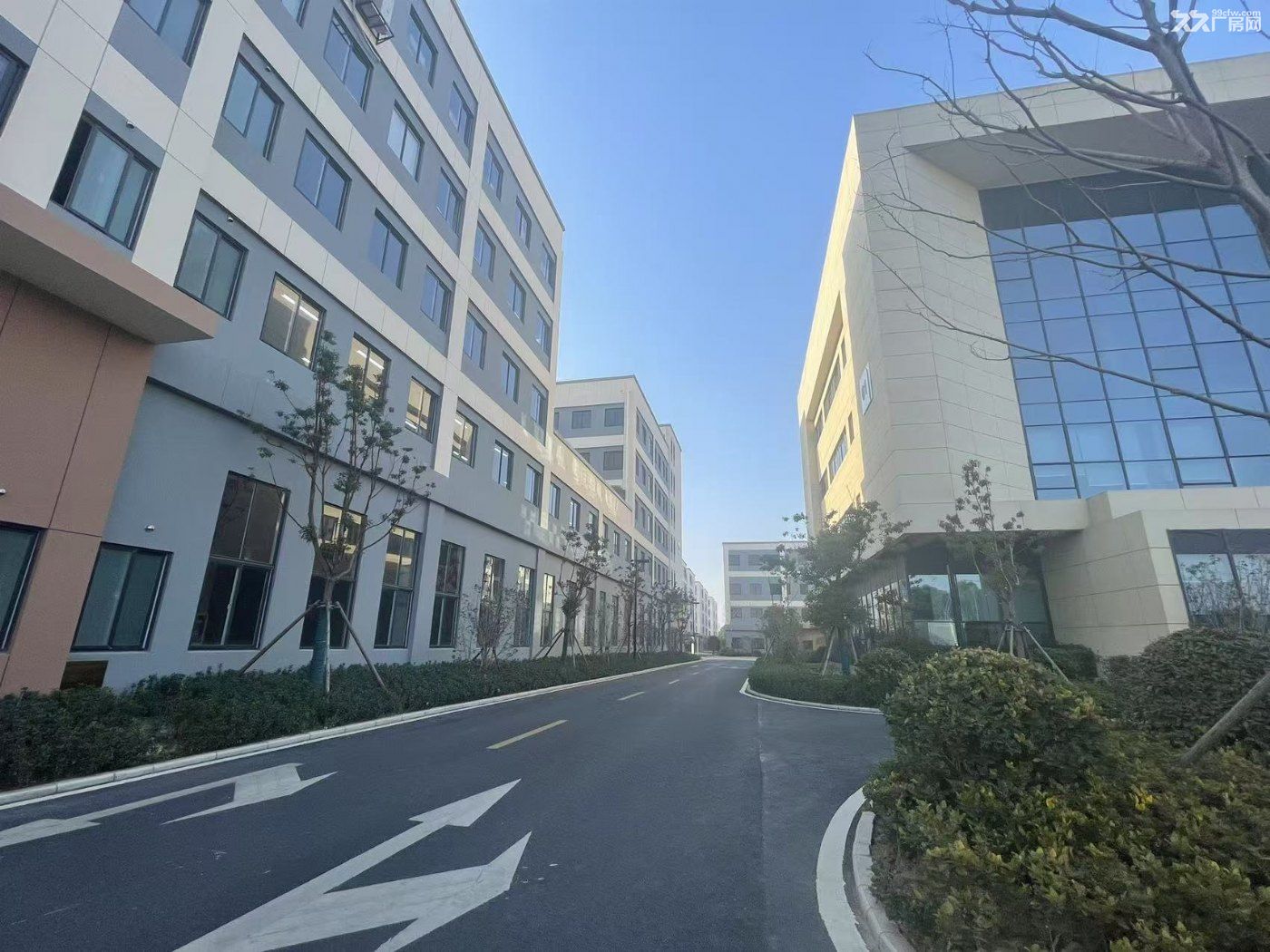 六合核心板块 江北大道旁 纯独栋大平层 年底钜惠 产权50年 安保24小时服务 - 7