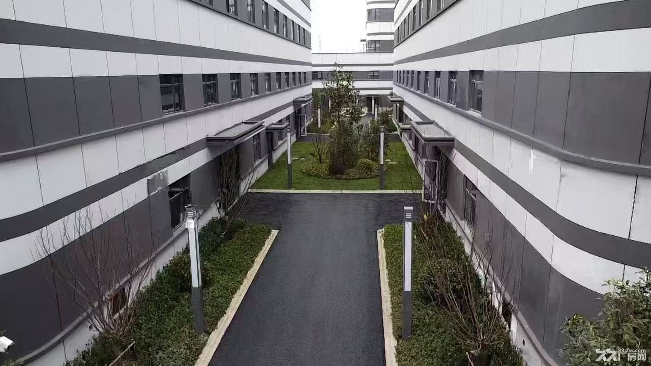 天宁区全新国土工业厂房出售,可环评可分割可按揭 - 2