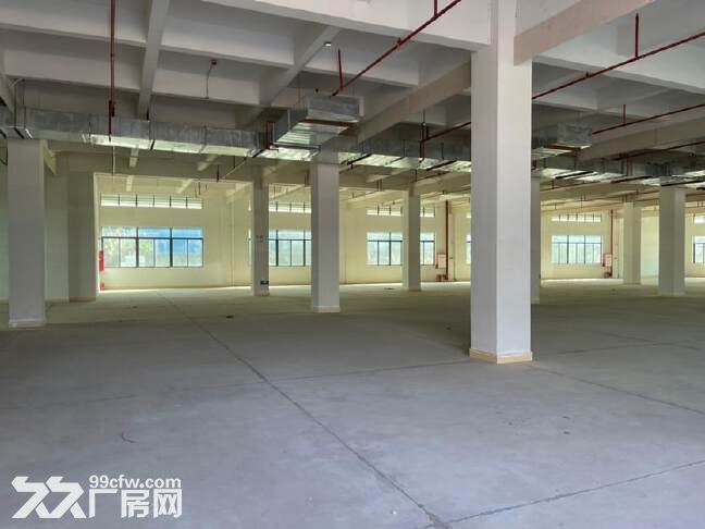 增城新塘工业园独院厂房7500平出租,可分租,带货梯,空地大,消防齐全 - 2