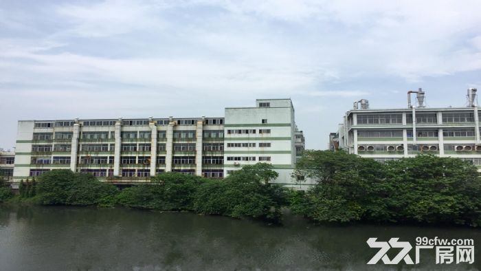 东莞市常平镇22000平方独院厂房出售(国有证件)