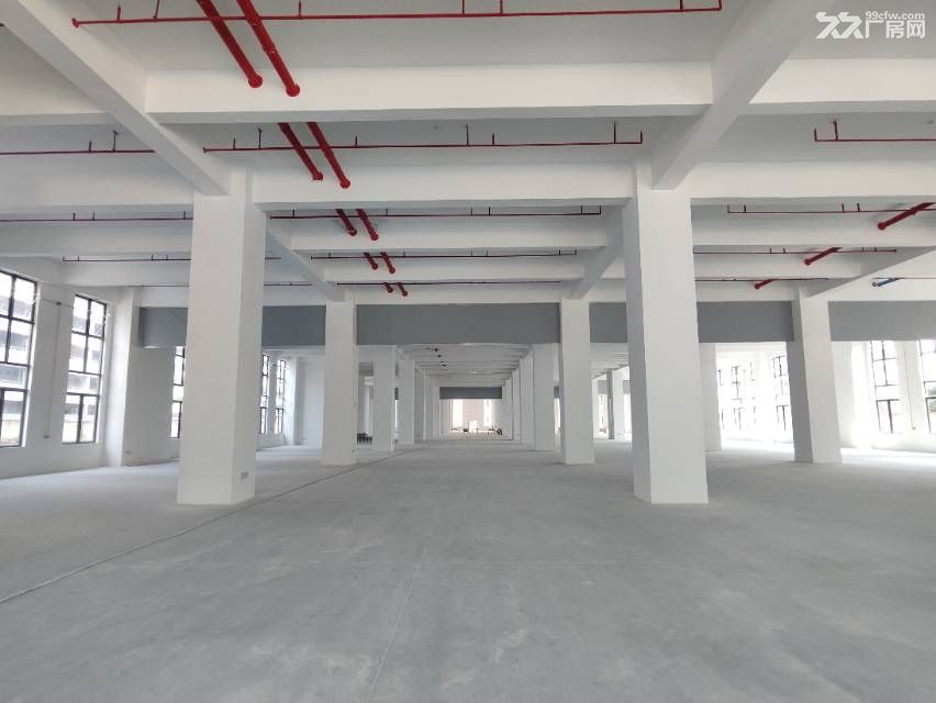 寮步原房东全新重工业厂房57000平方厂房出租，空地超大 - 4