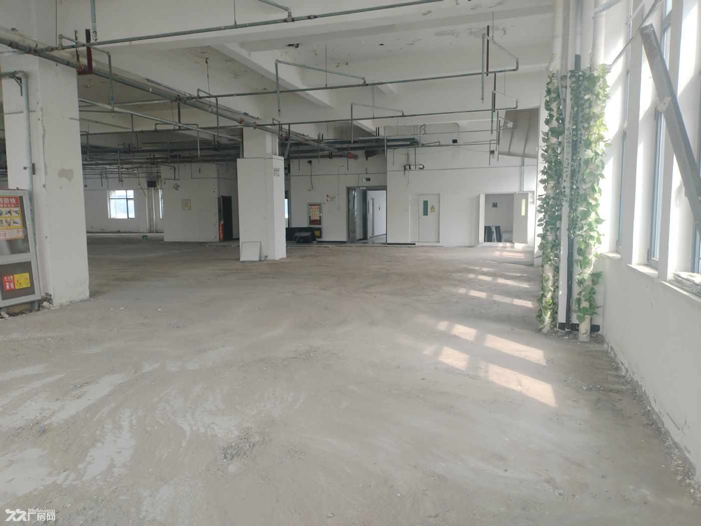 空港厂房出租，整层3200平米，消防民用二级，可生产实验办公等随时看 - 3