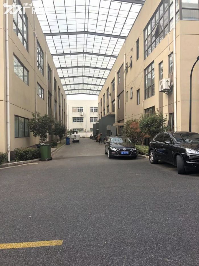 金汇业主直租2500平大小好分割形象高大上有环评 - 2