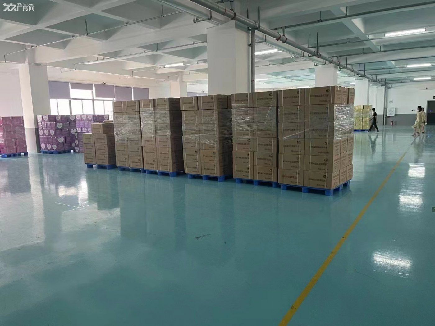 租金个位数：水口大道地坪漆红本厂房招租