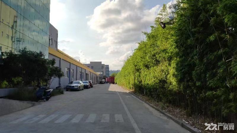 松江工业区2600平单层厂房,200平起租
