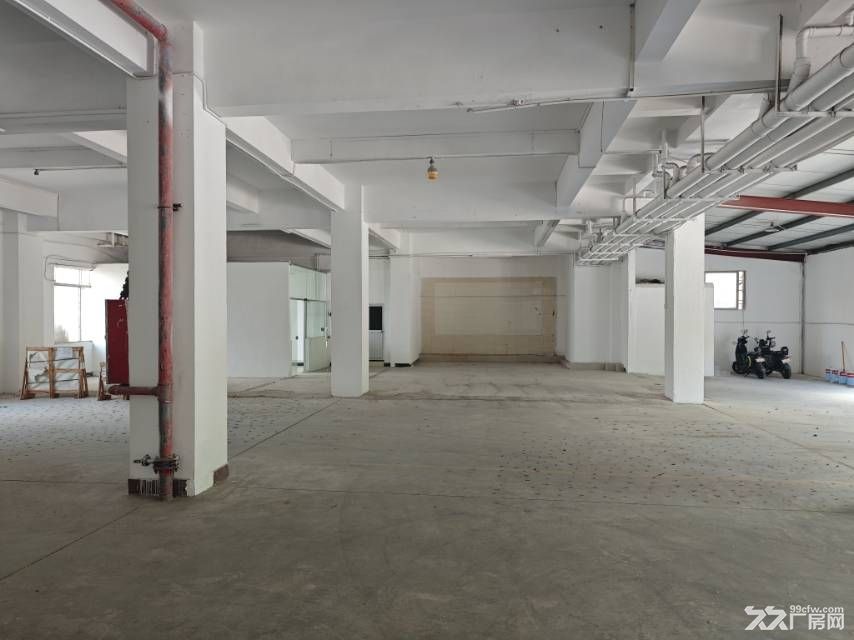 黄埔区靠马路边500平方标准厂房 - 6