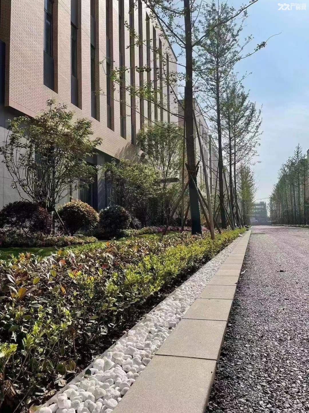 开发商直售 无中介费 可定制厂房 有返税政策 - 5