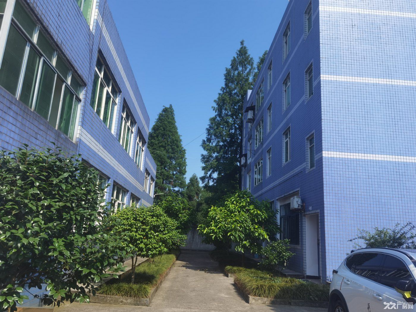 稀缺独栋产权厂房出售｜带住宿+精装办公室+花园式环境，企业自用优选 - 4