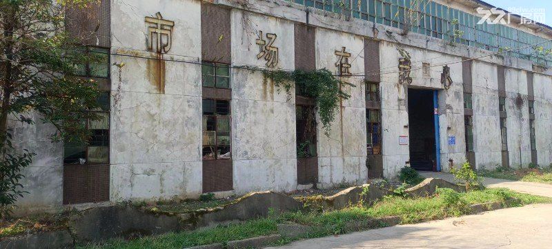 扬子洲独门独院厂房和空地出租(租金可提供发票) - 3