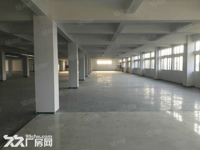龙岗新生新出原房东楼上带装修800平方厂房招租 - 2