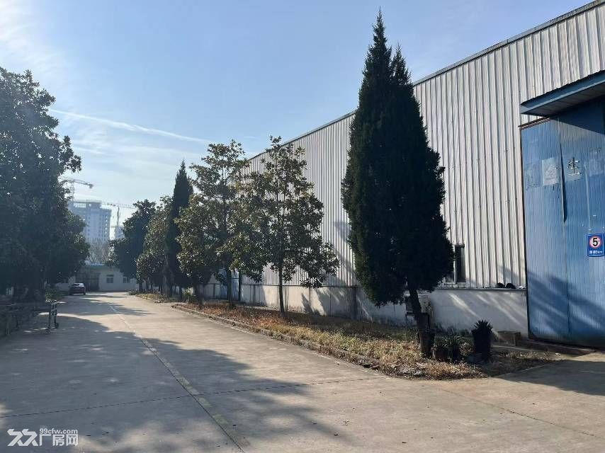 庐阳区7000平钢结构厂房出租,可分租 - 2