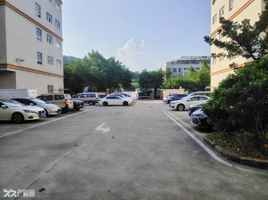 黄埔区开源大道边超大实惠厂房出租 - 4