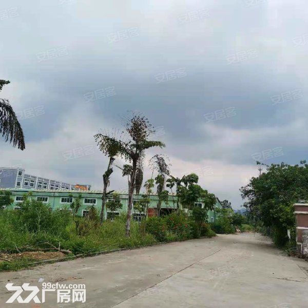 江门开平市金鸡镇80000平方工业园招商引咨，可分栋出租