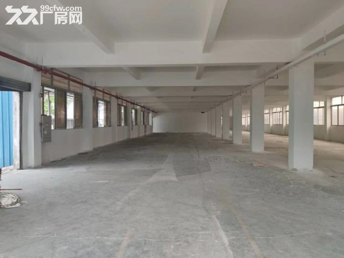 南沙东涌镇独院标准厂房,4600平,带宿舍,空地大,可办环评,租金便宜 - 4