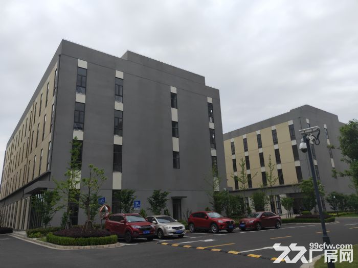 大张江康桥工业园,300平米28500平米,医药研发类可环评 - 3