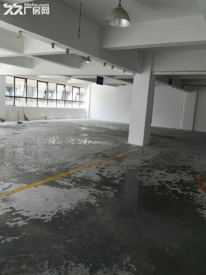 滨江核心200到300精装修,租办公电商摄影科技型客户 - 3