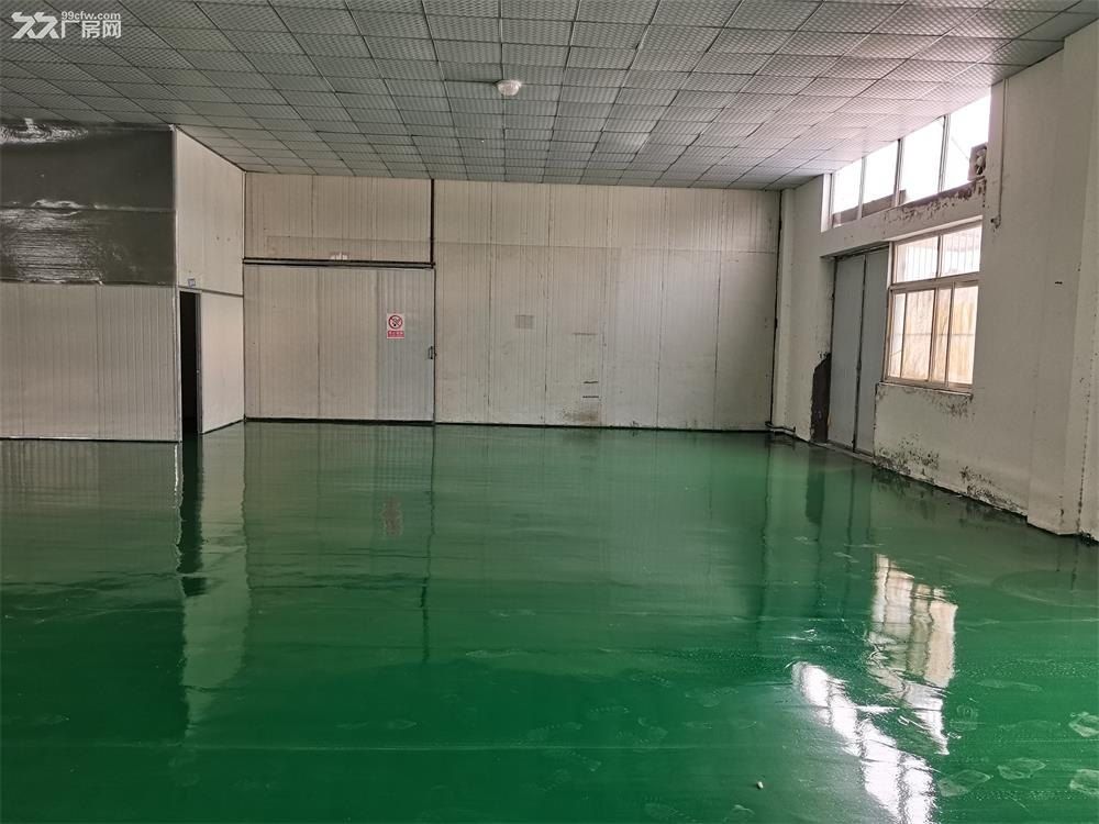 房东直租胶州胶北工业园厂房仓库(证照齐全、可环评、污水管网) - 5