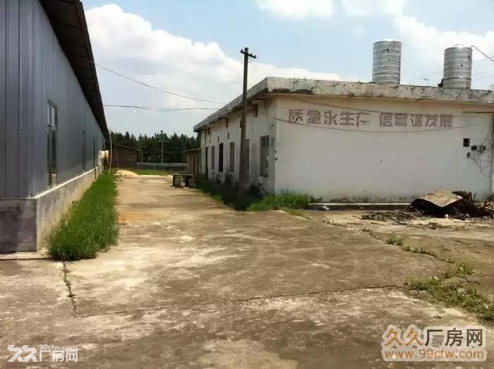急出租8800平方1500平方各厂房工业营区 - 4