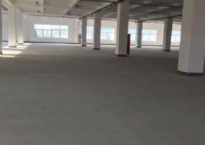标准新厂房，生活生产好地方