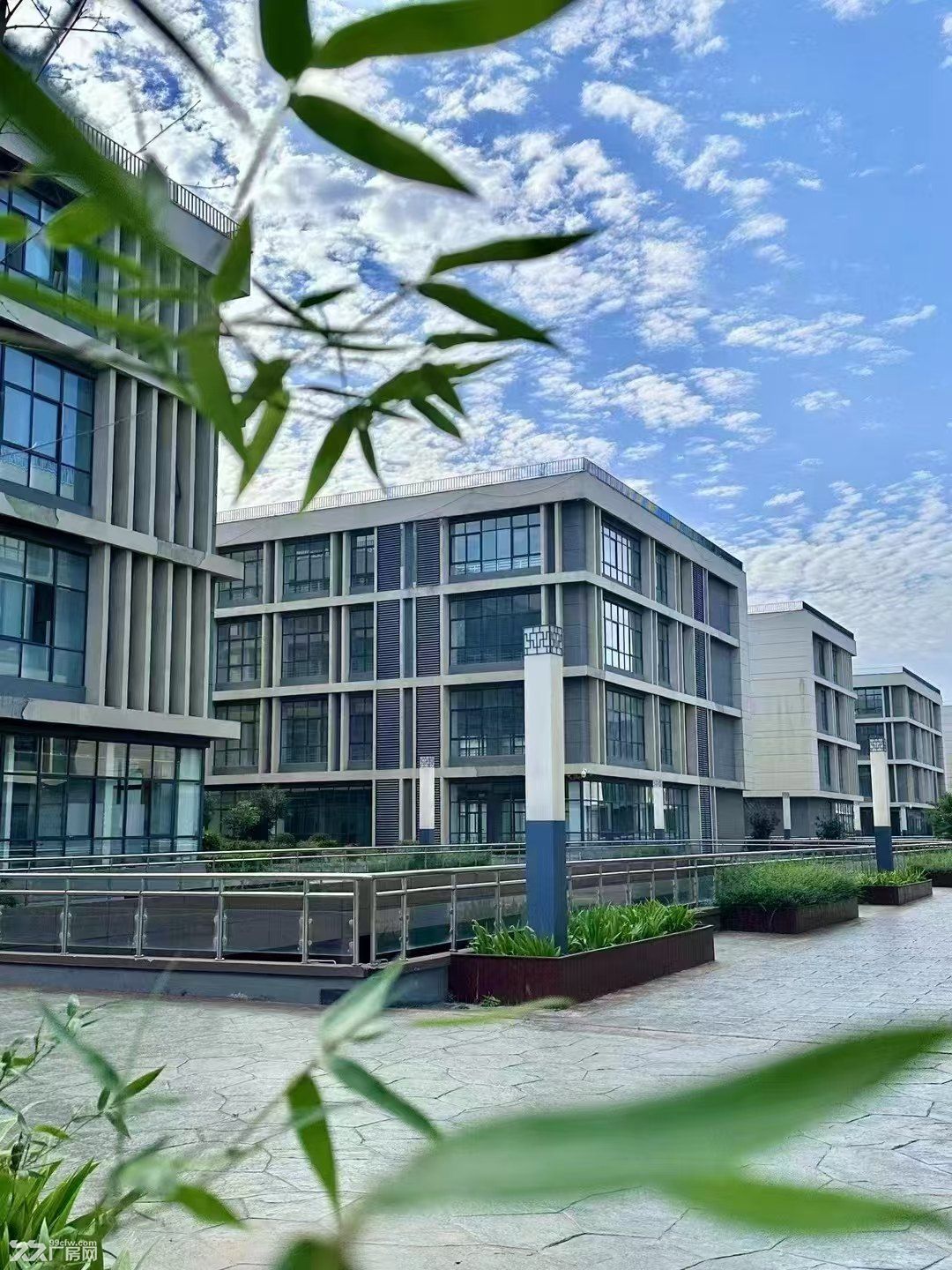 洛阳 涧西区 厂房出租 工业厂房 可分割 可环评 生产所需我都有