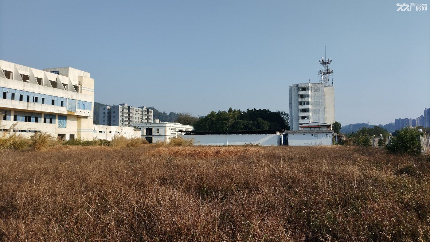 广州厂房,占地48000方,建面24000方, 一口价仅售9100万,评估3亿。 - 5