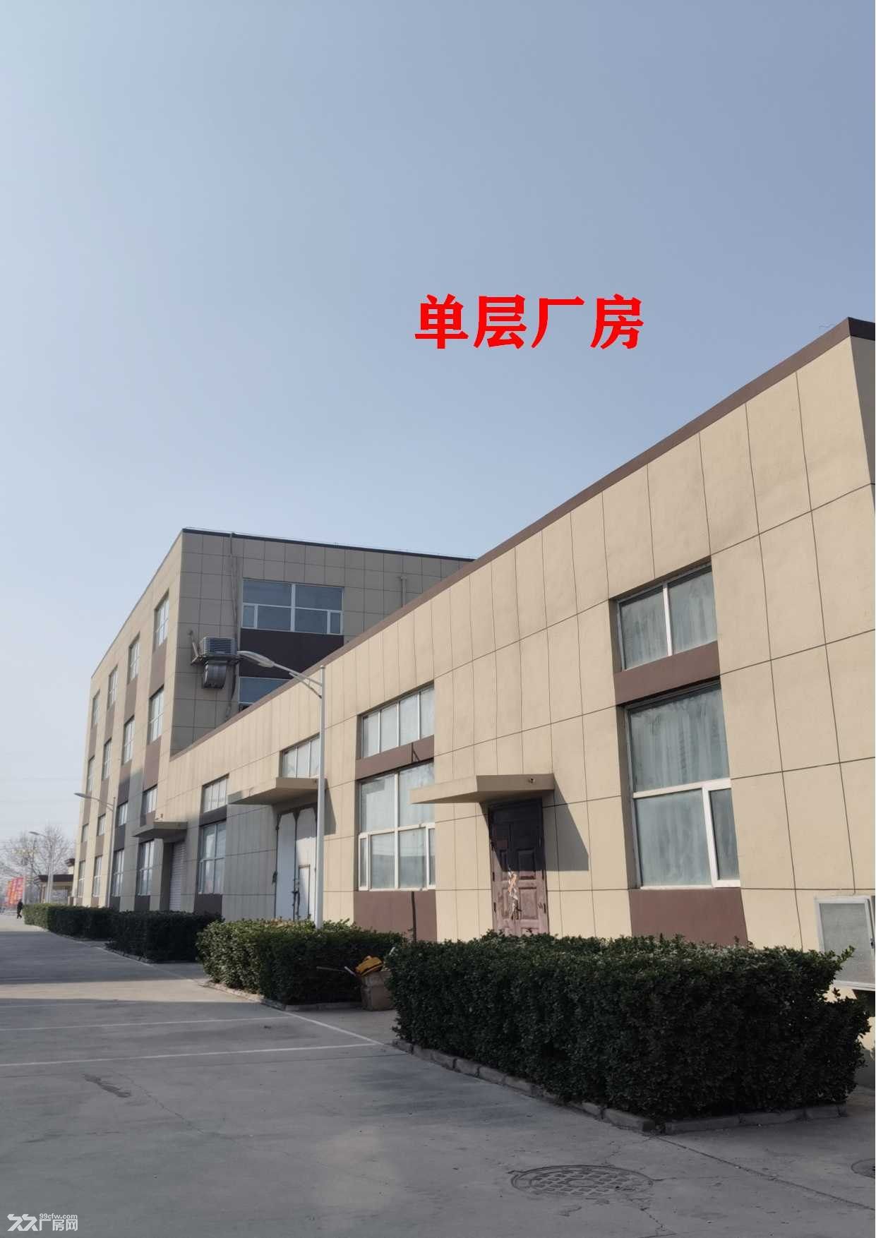 3000平单层标准框架大厂房 - 3