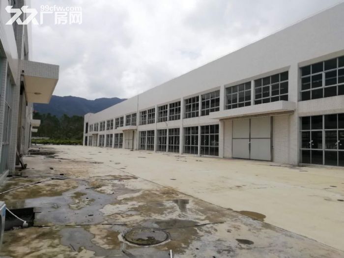 鹤山厂房出售,占地40亩,建筑面积15000平方 - 4