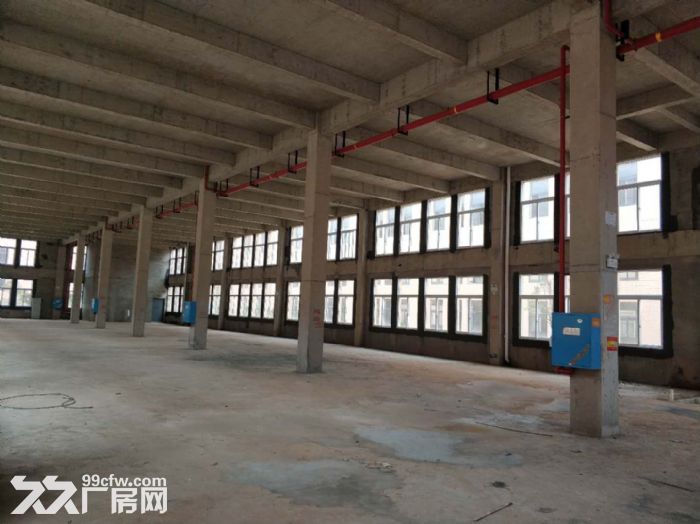 4600平蔡甸厂房出售，框架结构，层高8米，行吊+人货分流+电梯 - 2