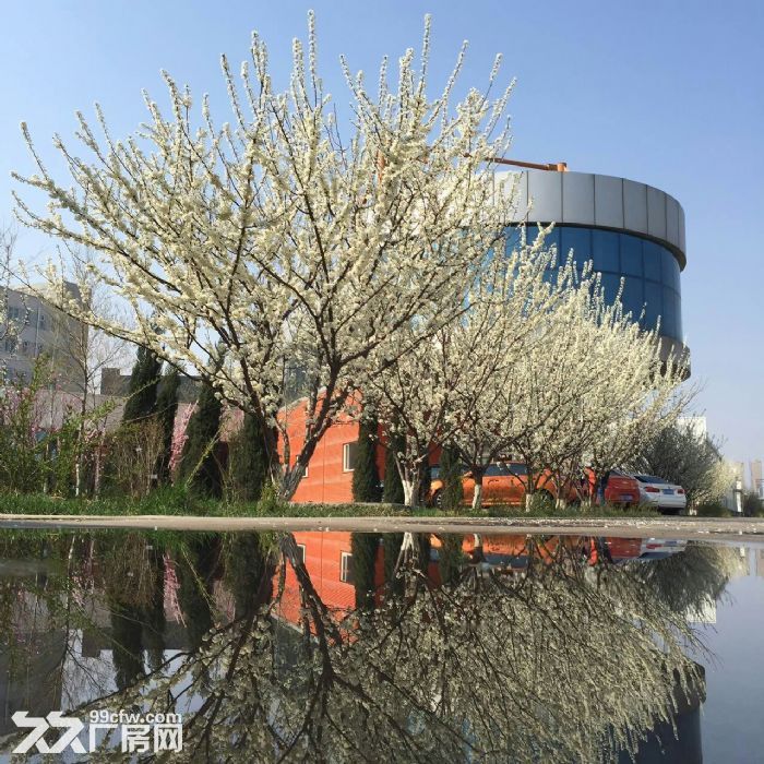 沈阳美国工业村钢结构标准厂房出租电话： - 2