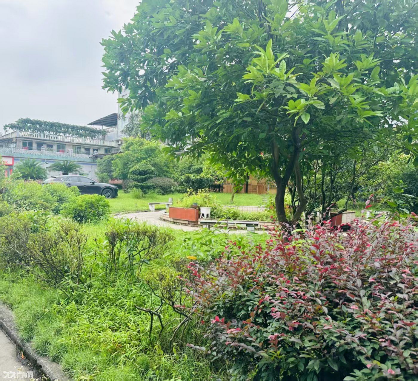 独门独院厂房出售,配套完善,价格美丽 - 8