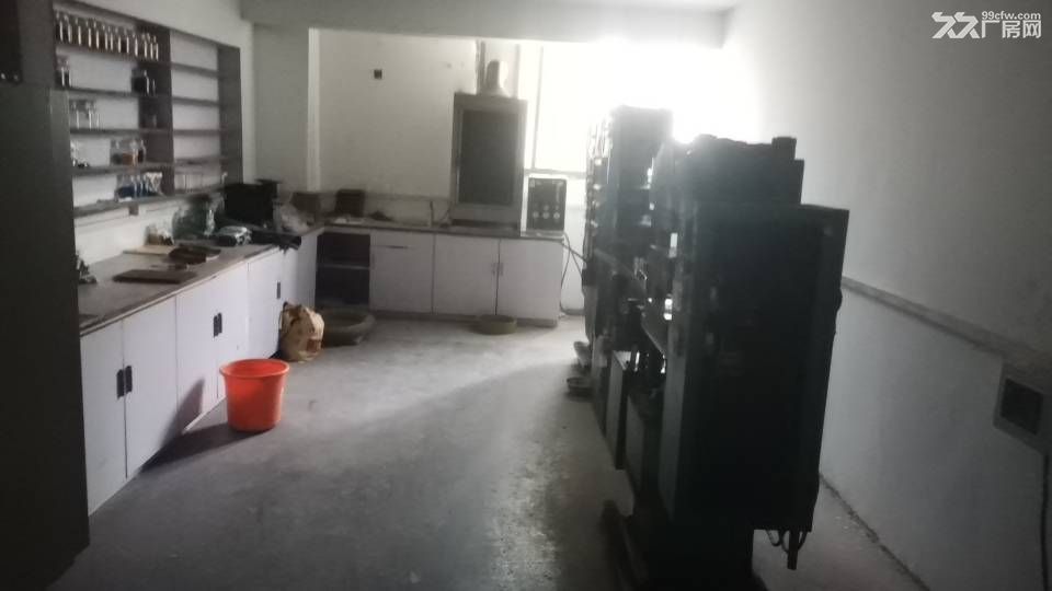 西渡1400方单层厂房 - 4