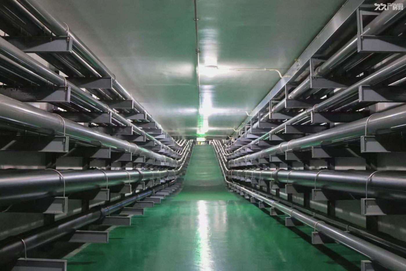 金茂源专业电镀园区 紧挨深圳东莞 手续齐全 价格稳定 1000-5000m2 - 5